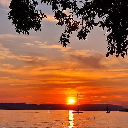 Studio Bodensee Daisendorf エクステリア 写真