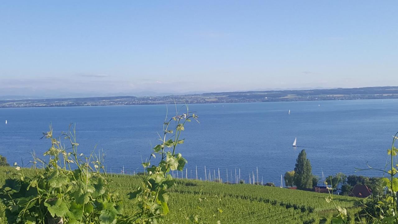 Studio Bodensee Daisendorf エクステリア 写真